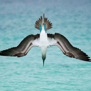 Meet your Posher, Joe